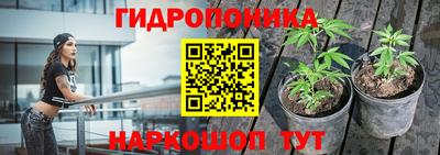 СК Наро-Фоминск