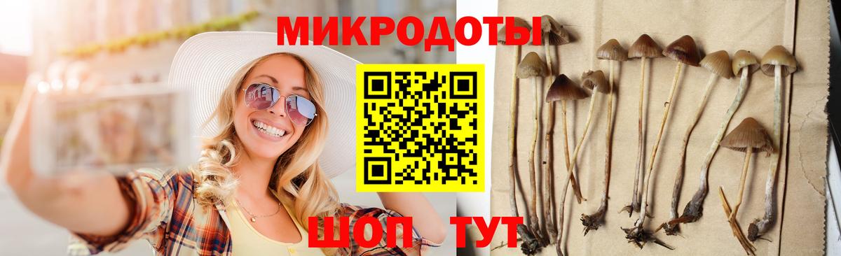 Псилоцибиновые грибы MAGIC MUSHROOMS Южноуральск